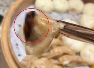 딤섬에 붙은 '검은 물체' 알고보니 바퀴벌레…난리난 中 호텔